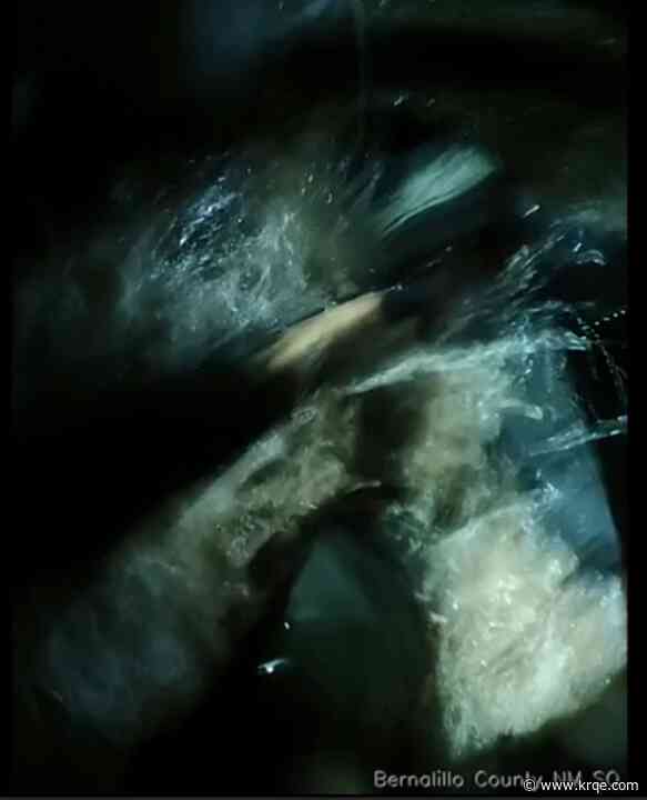 Late night swim? Video shows BCSO deputy and suspect fall into irrigation ditch during confrontation