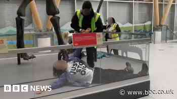 Just Stop Oil activists arrested over Dippy the Diplodocus protest