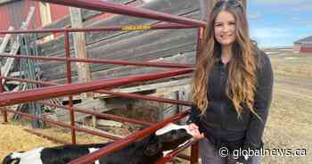 Farmers push back against proposed De Havilland facility in Wheatland County