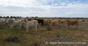 Kidman offloads four cattle stations