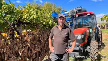 Embracing local manufacturing has helped boost the fortunes of Australia's dried fruit producers