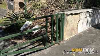 lettori - Sterpaglie abbandonate