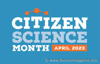 In-Person and Online Events for Everyone During Citizen Science Month