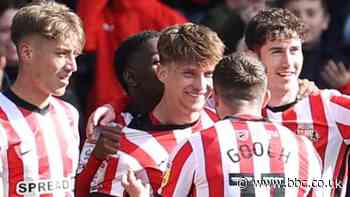 Cardiff City 0-1 Sunderland: Black Cats add to Cardiff relegation fears