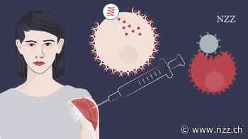 Nach Corona sollen mRNA-Impfungen jetzt Tumore in Schach halten. Wie gut können sie das?