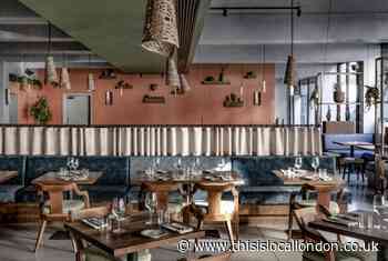 Review: Shoreditch Contemporary Mexican Fusion Restaurant Zapote