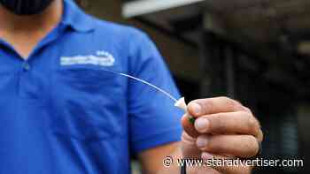 Tech View: Fiber-optic phone lines won’t affect alarm systems