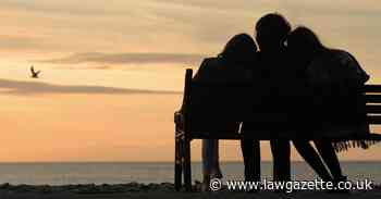 Custody, carer, client: family lawyers identify 'harmful' words
