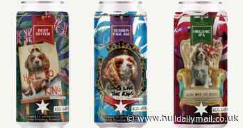 Aldi marks King Charles coronation with limited edition 'best of British beers' for £1.79