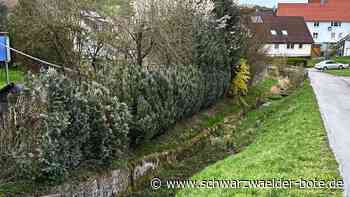 Gemeinderat Wildberg: Es tut sich was bei den Baugebieten