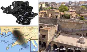 Eruption of Mount Vesuvius turned its victims' brains to GLASS