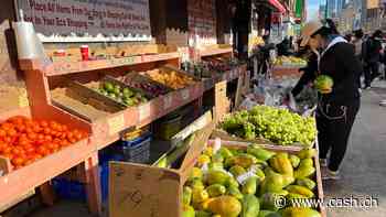 Maue Aussichten für die Weltwirtschaft - IWF kürzt Prognosen