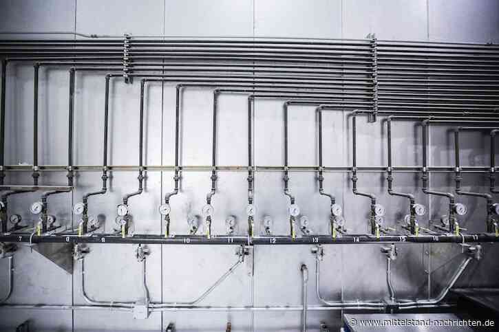 Auswahl der richtigen Dichtungen für Ihre Arbeit