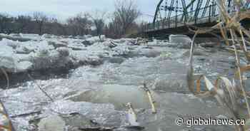 Ice jam warnings issued with warmer Saskatchewan weather