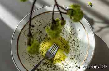 Olivenöle aus Europa / So gut sind sie für unsere Ernährung