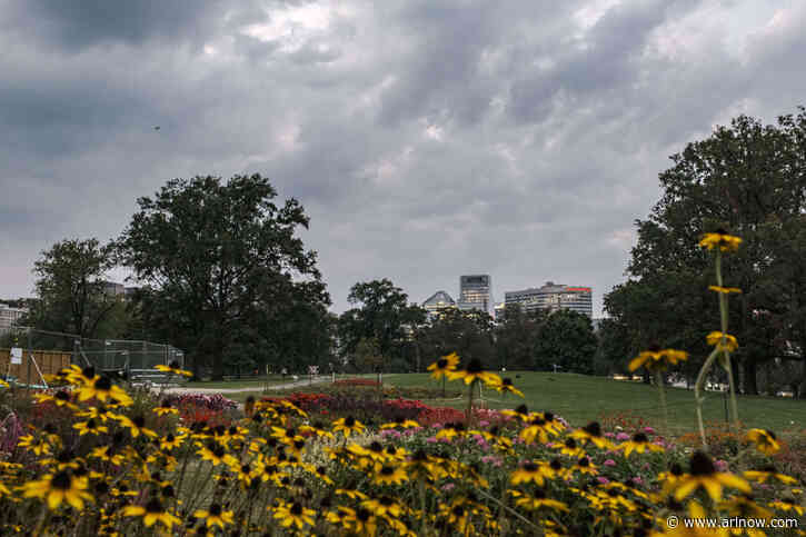 Arlington is the No. 5 ‘eco-forward’ place in the U.S., according to new list