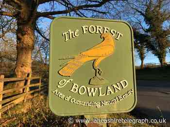 Forest at risk from 'weak' scrutiny of aqueduct plans, say objectors