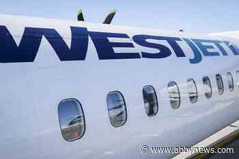 Regional routes see higher airfares, fewer flights even as new carriers emerge