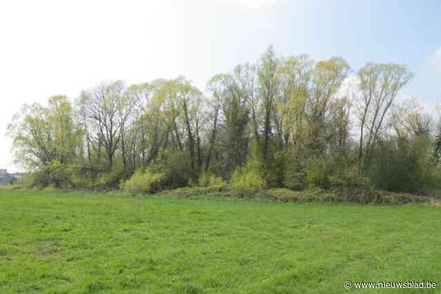 Stadsbestuur tekent beroep aan bij Raad van State tegen erkenning van burcht als archeologische site: “Omvang is remmend voor ontwikkelingen”