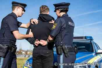Laptop-Diebe: Polizei schnappt Trio in Holzminden nach Tipps von Zeugen