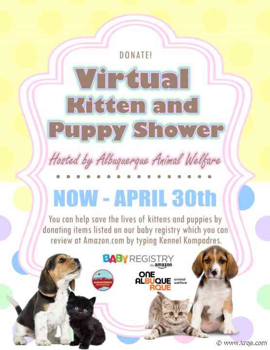 Animal Welfare is expecting! Kitten and puppy showers