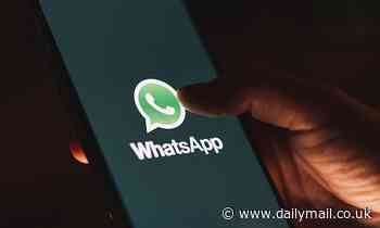WhatsApp is set to launch a secret tool that makes 'zombie groups' EXPIRE