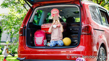 Best trunk organizers for 2023