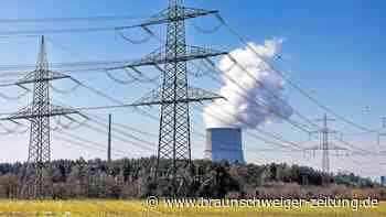 Streitfall Atomkraft: Die Wirtschaft fordert günstigen Strom