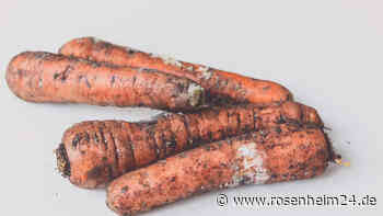 Verwerten oder wegwerfen: Darf man schimmelige Karotten noch essen?