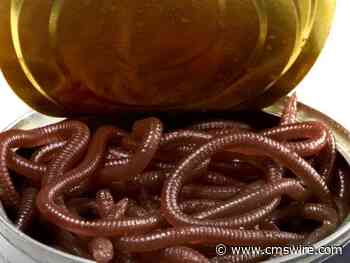 Generative AI: Exploring Ethics, Copyright and Regulation