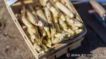 Spargel-Preise 2023: Wie teuer ist das Kilo in meinem Bundesland?