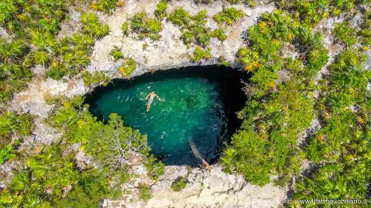 Grand Bahama, l’isola per tutti i gusti