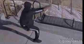 2 Edmonton shootings leaving 3 dead believed to be linked, suspect video released: police