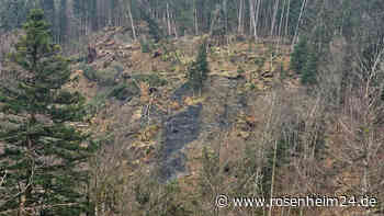 Rund zehn Hektar großer Hang bei Salzburg abgerutscht – zwei Forstwege zerstört