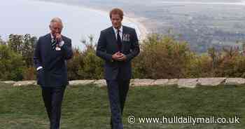 Prince Harry 'swore at King Charles' in argument over money, new book claims