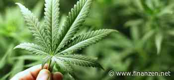 Cannabis-Legalisierung offenbar zunächst nur für privaten Gebrauch