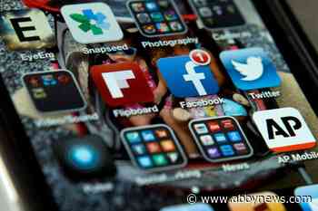 Request to remove newspaper article among Ottawa’s queries to social-media giants