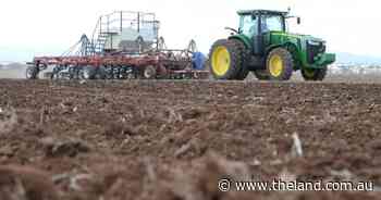 Less canola - more barley, hay and legumes, the trend for 2023
