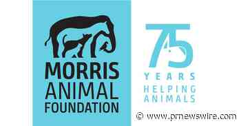 Saving declining amphibians through genetics - newly funded Morris Animal Foundation and Revive &amp; Restore projects lay the foundation for genomic approaches to amphibian conservation