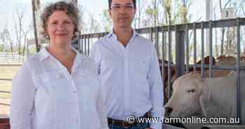 The next trait up for a beef EBV: nitrogen efficiency