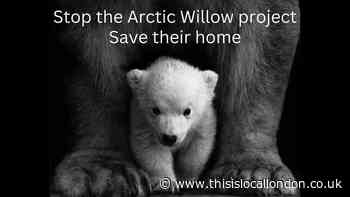 The Willow Project Must Be Stopped by Alisha Parkash Notre Dame School