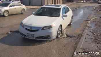 It's pothole season in Winnipeg, so slow down and listen for damage, auto shop owner advises