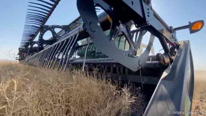 Canada set to experience shortage of farmers, RBC report says