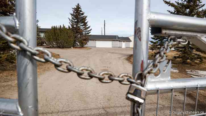 'Sexual violence is on the rise' Calgary advocates say as a suspected serial rapist is charged