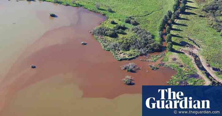 Only 2% of New Zealand’s large lakes are in good health, bleak report finds