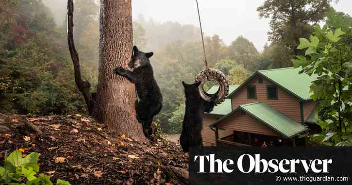 The big picture: someone’s been playing on my swing!