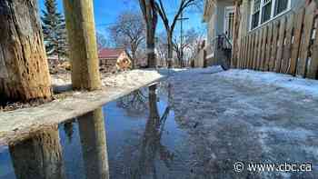 Committee rejects motion to study plowing Winnipeg sidewalks to pavement