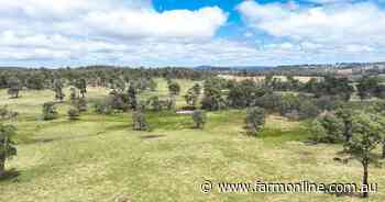 High rainfall cattle country makes $8006/acre