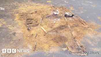 Disposable barbecue warning after Lickey Hills fire