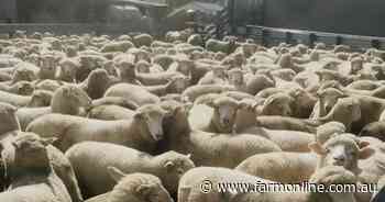 The psychology of the sheep sale